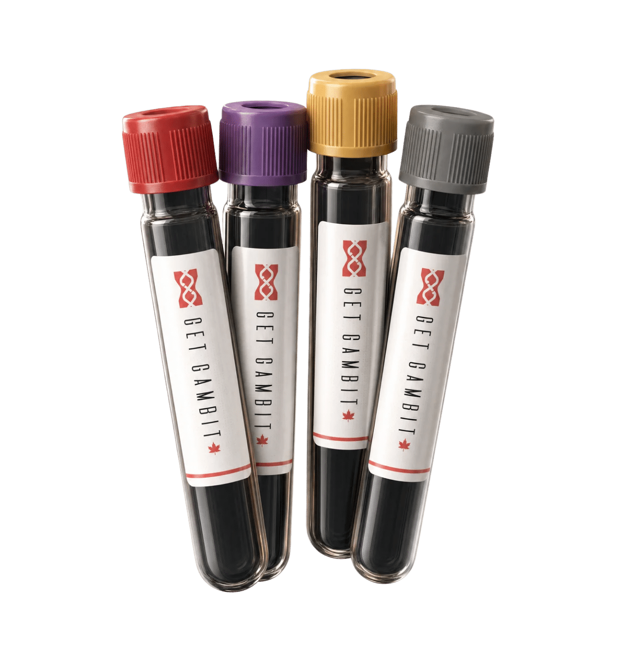 Comprehensive Bloodwork